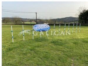 Galican trainingsset slalom Agility toestellen